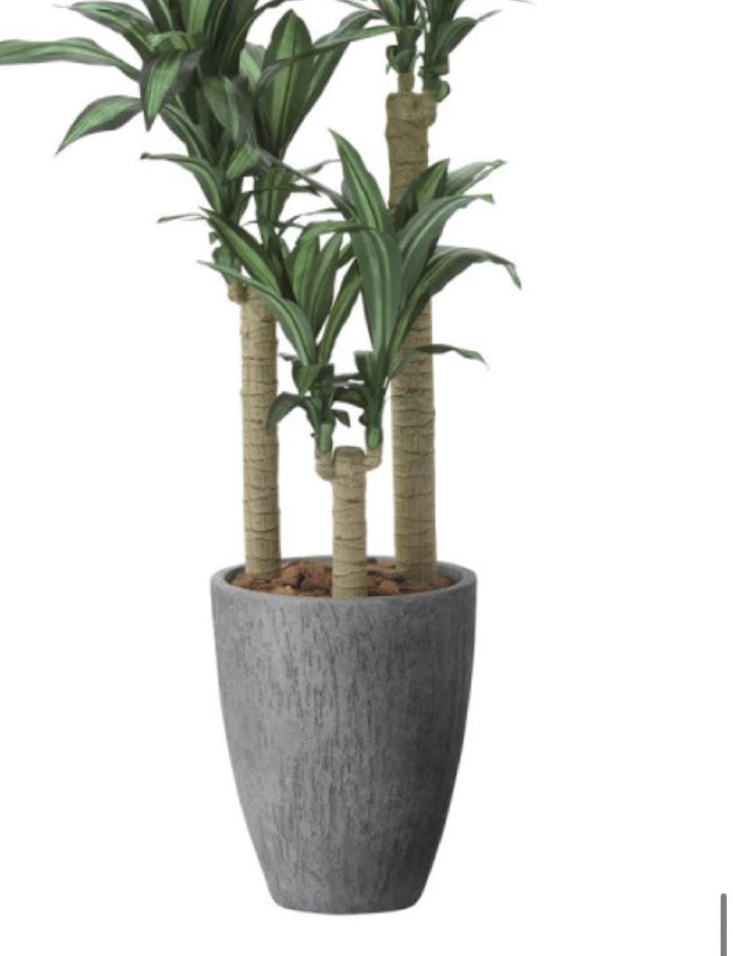 光触媒　人工観葉植物　フェイクグリーンナチュラル幸福の木1.65