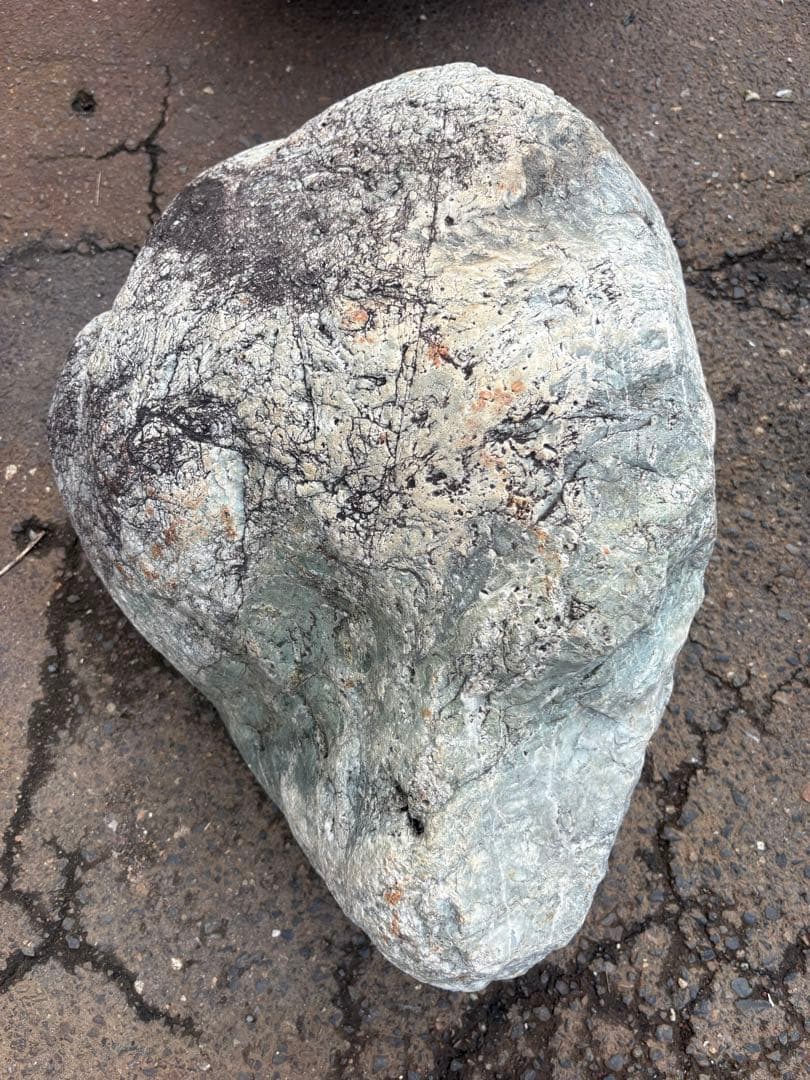 小滝川採取 天然石 庭石 約50cm級 真贋不明