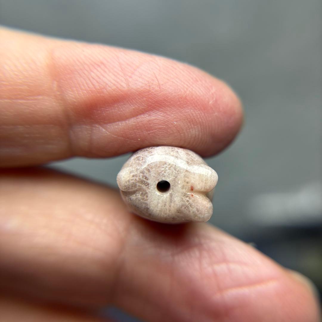 もんちゃんフォッシルコーラル　うさぎパーツ　1-148