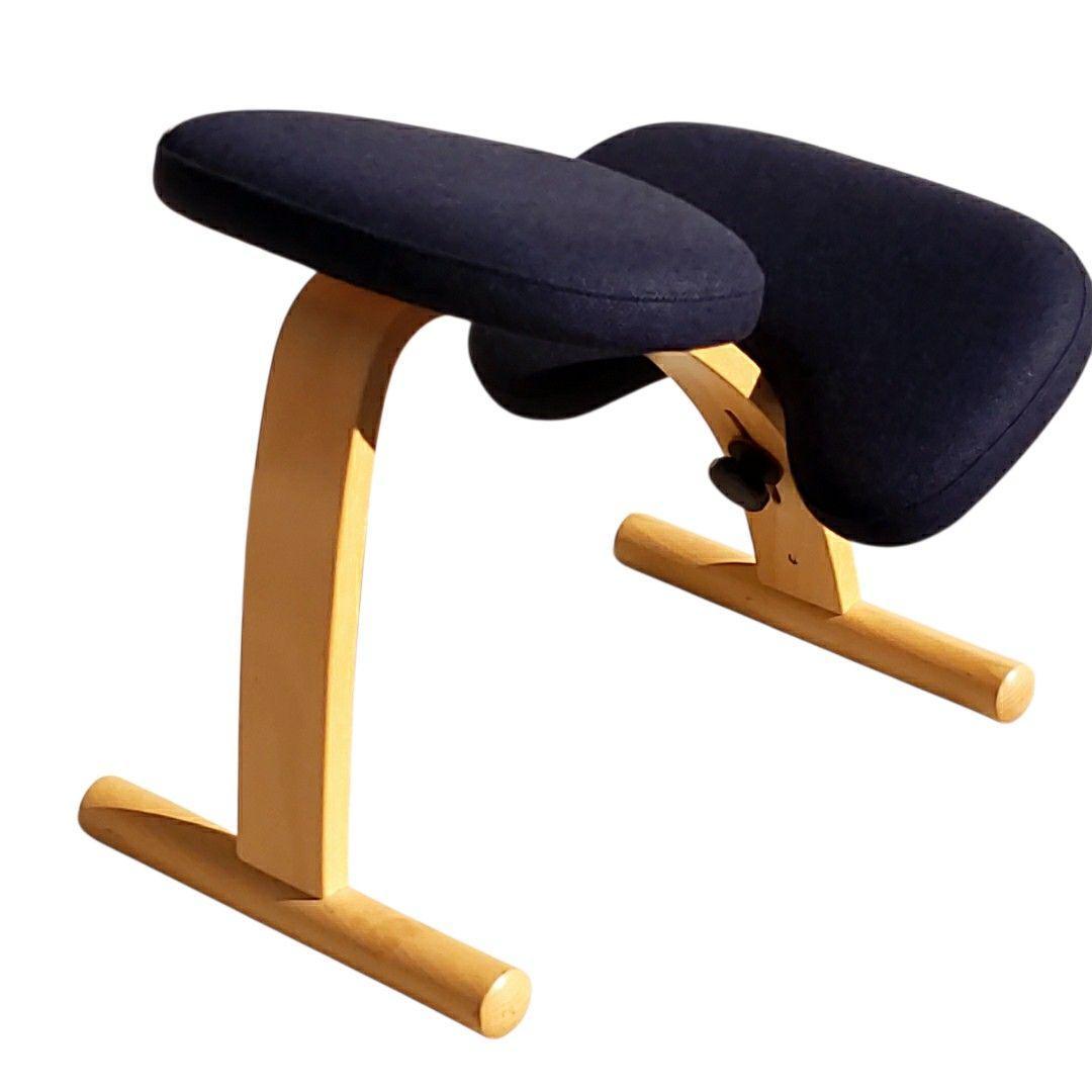 リボ バランスイージー バランスチェア ネイビー ブナ 姿勢矯正 北欧