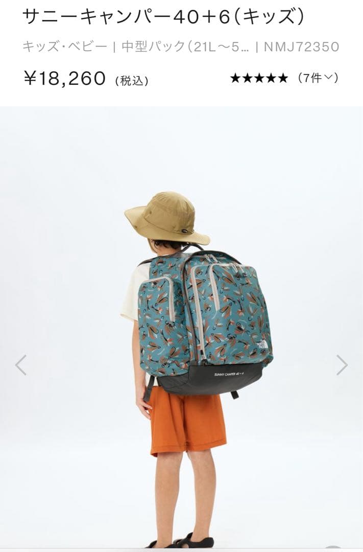 バッグ THE NORTH FACE SUNNY CAMPER