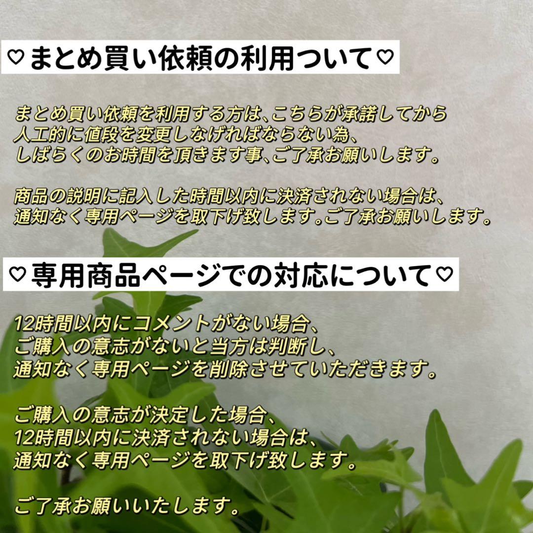 もろ様 リクエスト 4点 まとめ商品　淡水バロックパールピアス　シンプルピアス