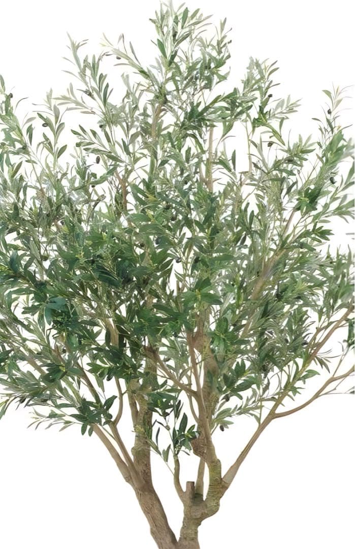光触媒　人工観葉植物　ウォールグリーン　フェイクグリーン　オリーブ250センチ