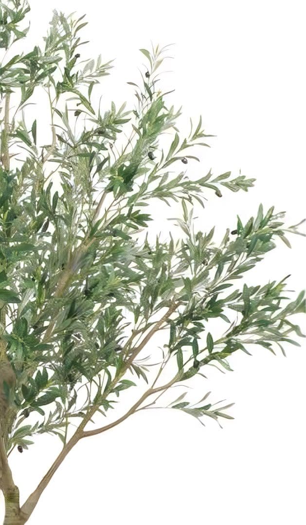 光触媒　人工観葉植物　ウォールグリーン　フェイクグリーン　オリーブ250センチ