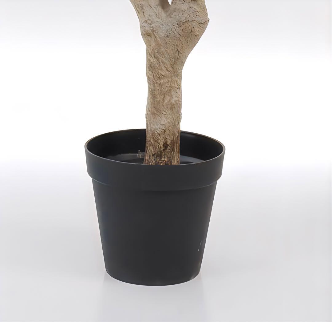 光触媒　人工観葉植物　ウォールグリーン　フェイクグリーン　オリーブ250センチ