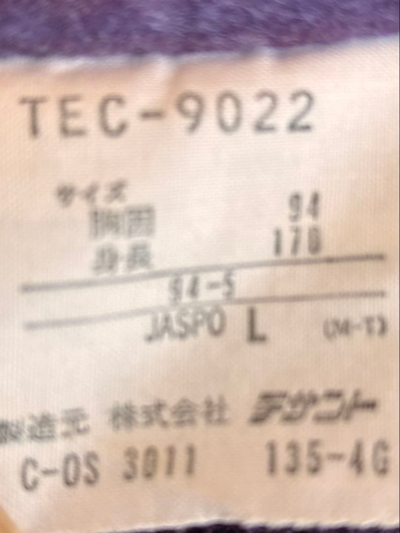 DESCENTE スキーウェア メンズ