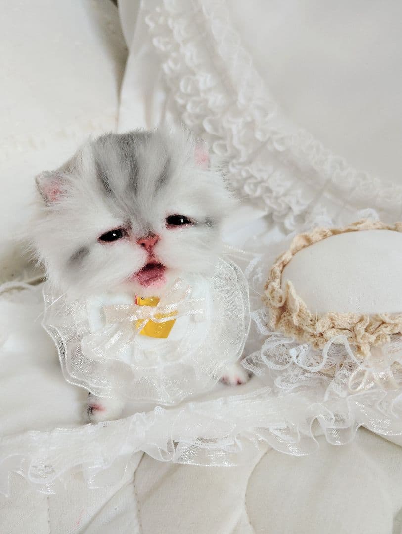 生後２週間♡お世話セット♡チンチラ子猫ちゃん♡アートドール♡ぬいぐるみ♡