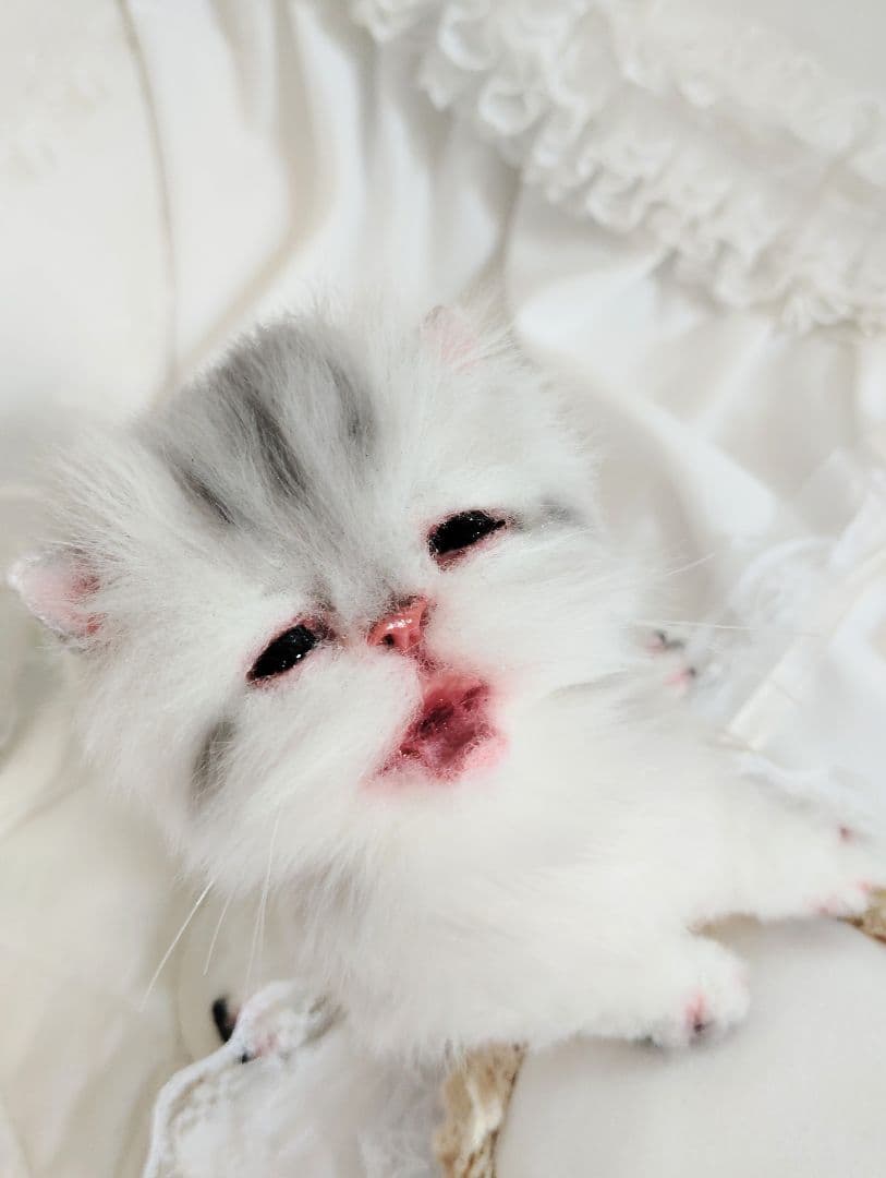 生後２週間♡お世話セット♡チンチラ子猫ちゃん♡アートドール♡ぬいぐるみ♡