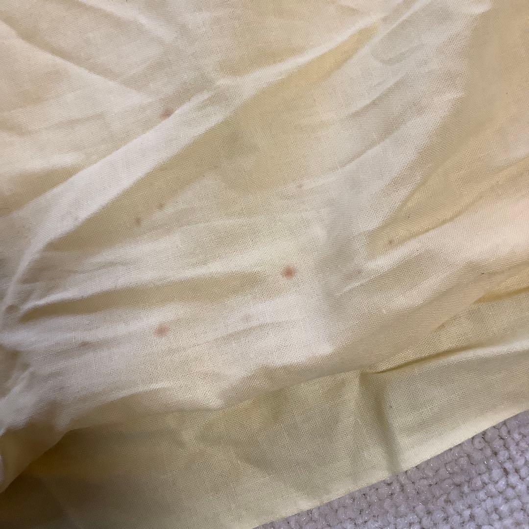 日本画　菩薩　岩崎甚一郎　金色縁額装