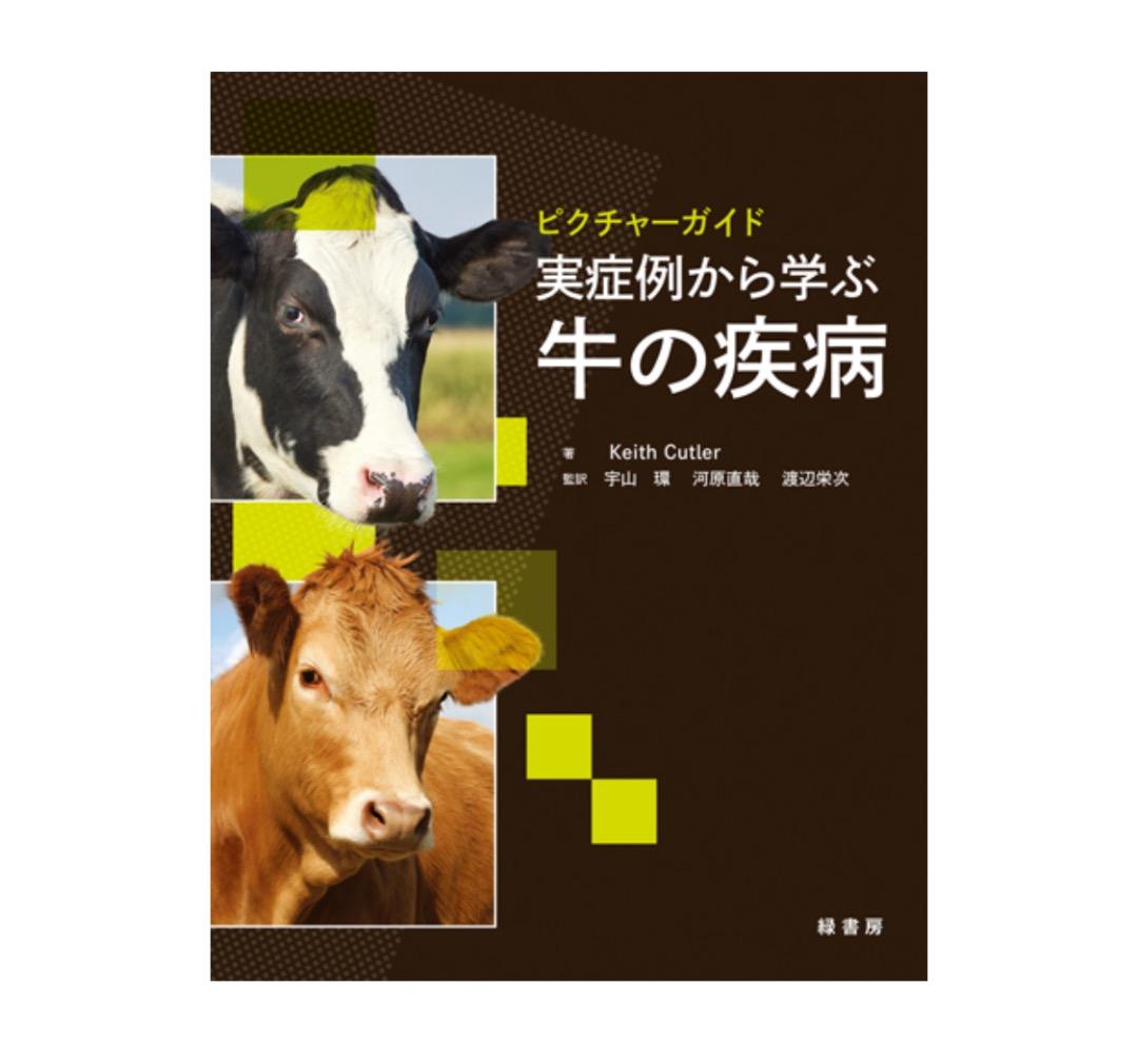 ピクチャーガイド 実症例から学ぶ牛の疾病　オールカラー