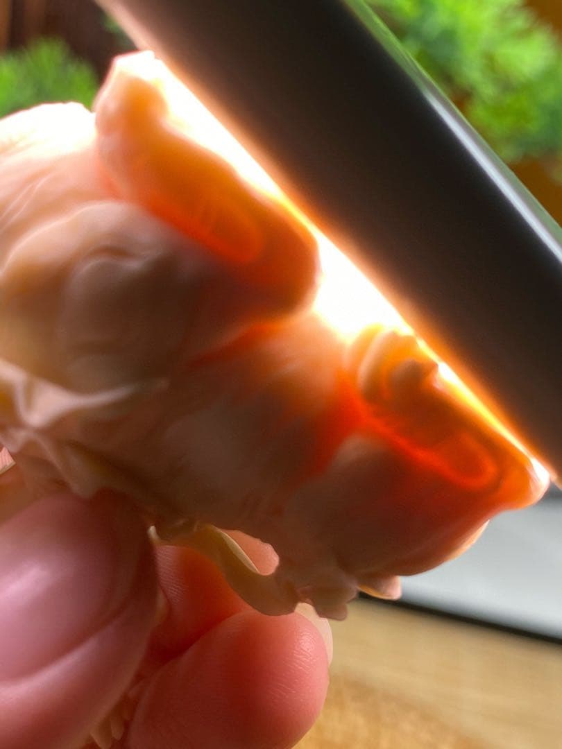 天然マンモス牙美しい手作り彫刻　虚空蔵菩薩　小さいな置物