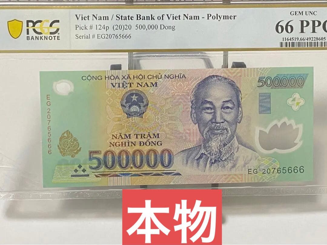 ベトナムドン ベトナム紙幣 ベトナムお金 50万ドン　外国紙幣　(セール中)