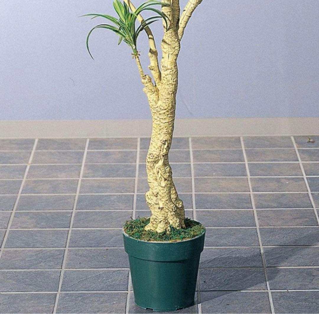 光触媒　人工観葉植物　ウォールグリーン　フェイクグリーン　ユッカツリー1700