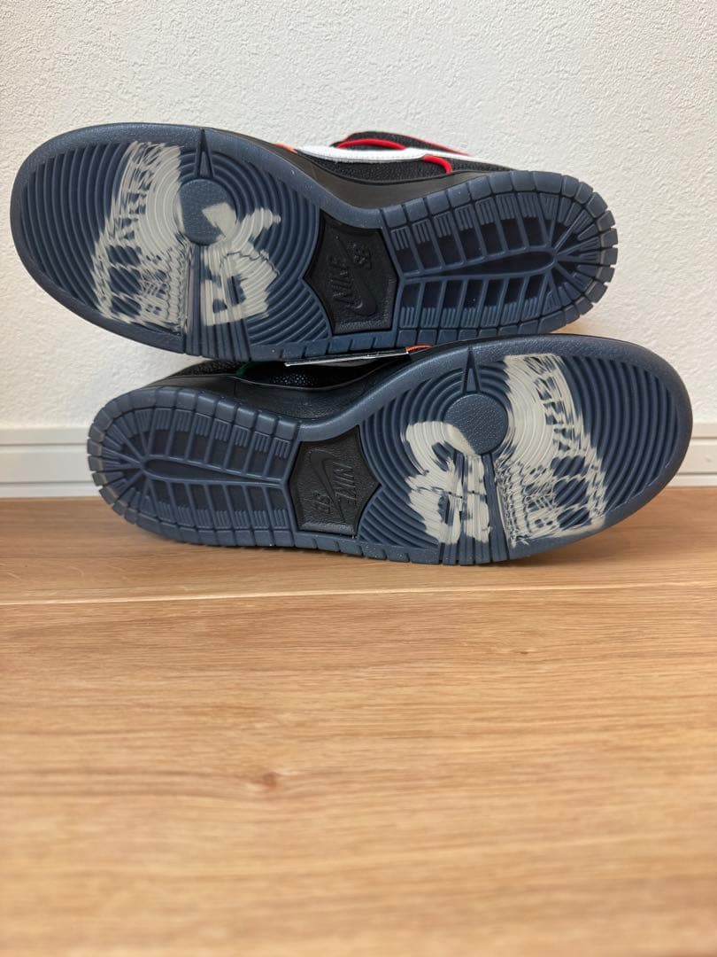 BRONX GIRLS SKATE × SB DUNK LOW PRO
