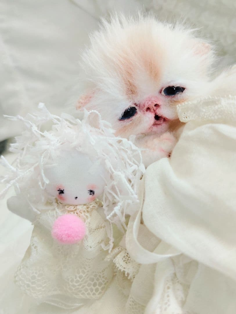 生後10日♡子猫ちゃんと♡ミーナちゃん♡アートドール♡ぬいぐるみ♡