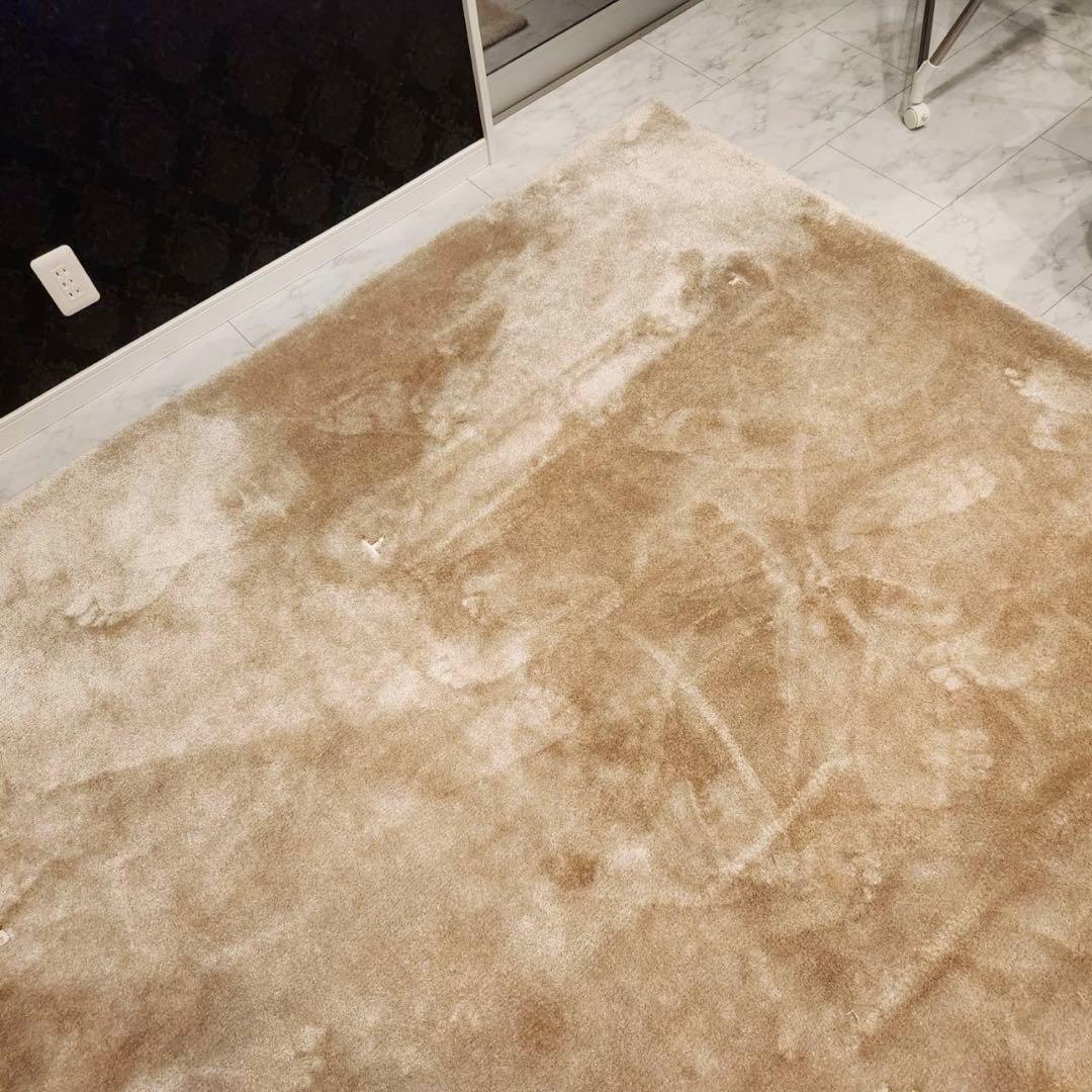 最高級！Fisba フィスバ Saga サーガ 80740ラグ単品　絨毯347万