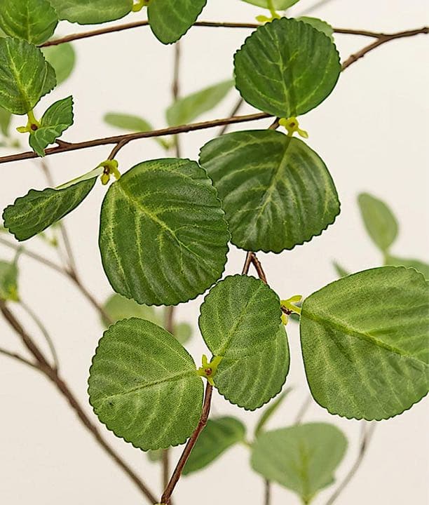 光触媒　人工観葉植物　ウォールグリーン　フェイクグリーン　ヘーゼルナッツ180