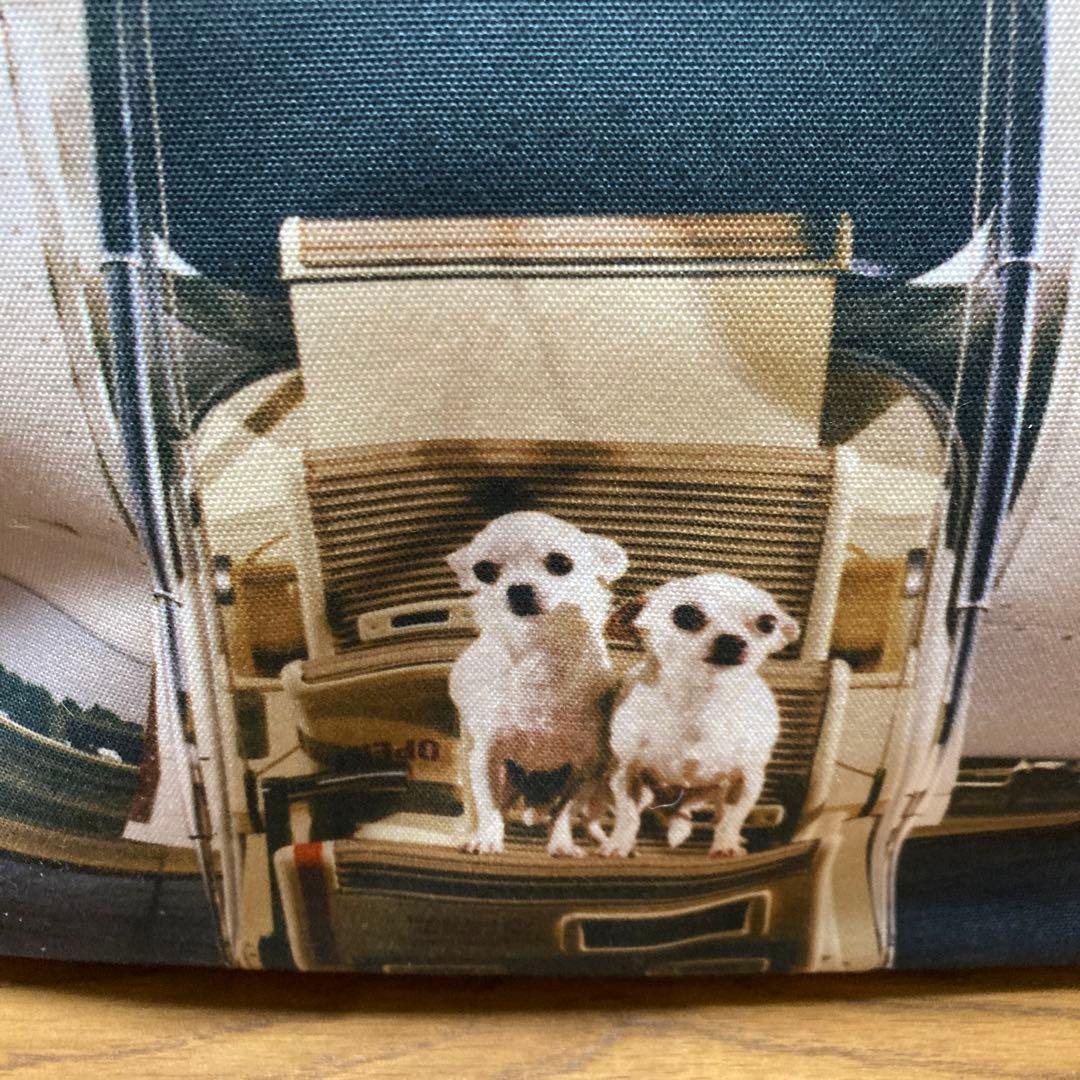 ANAY HINDMARCH.ポストン