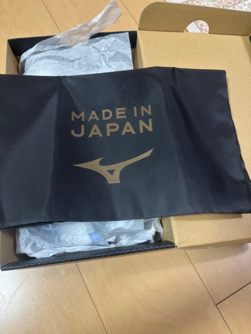 モレリアネオ4 βJAPAN