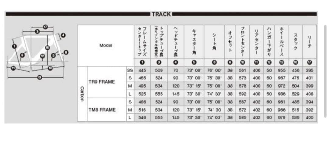 BRIDGESTONE TM8 Sサイズ カーボンフレーム