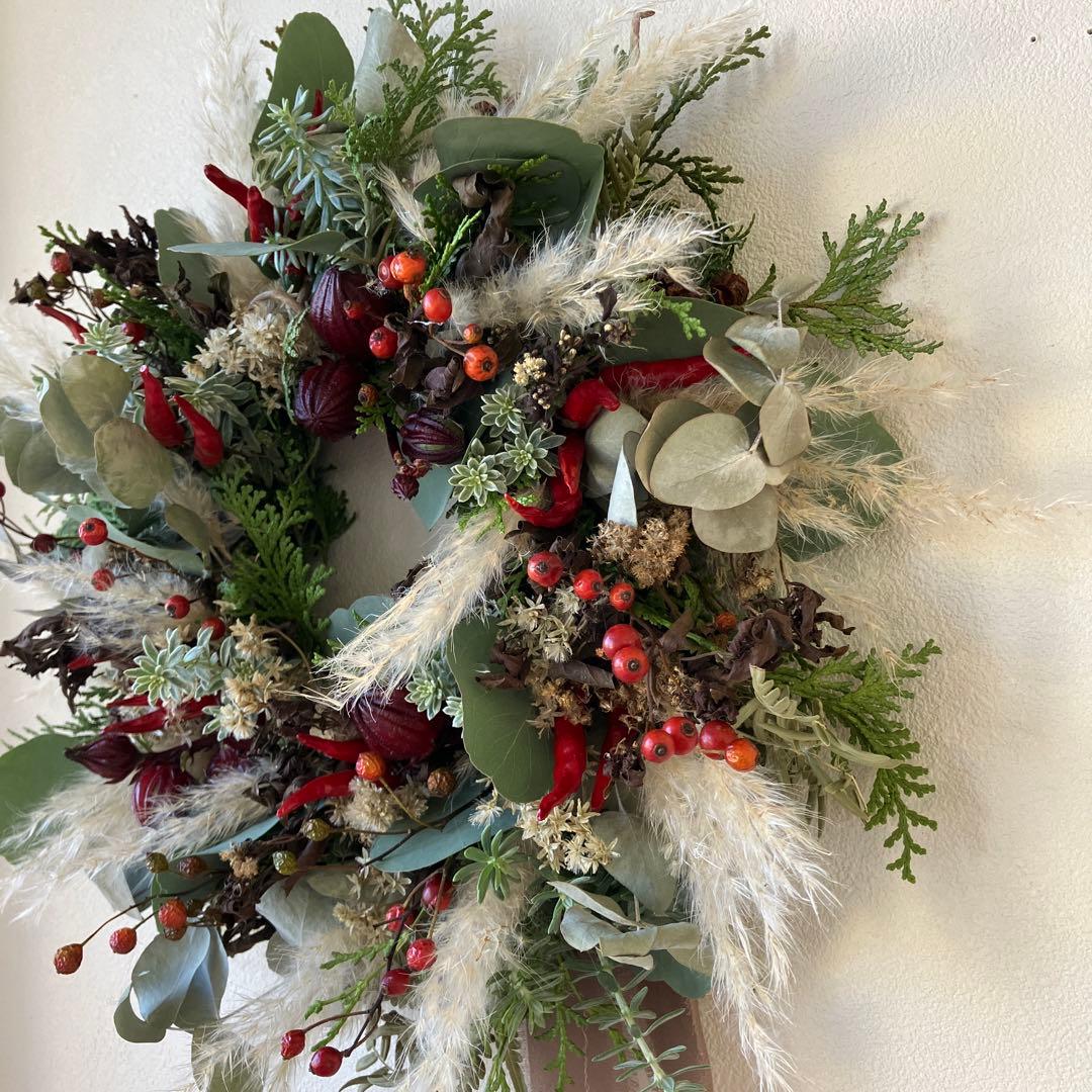 大きめ　ローゼルと唐辛子のリース　ユーカリ　パンパスグラス　秋〰️クリスマス