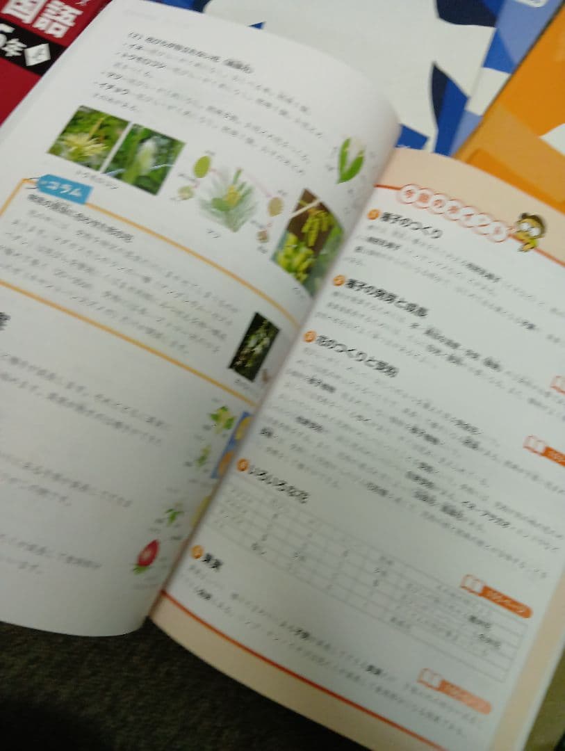 四谷大塚 予習シリーズ5年 国算理社　上下　中古　2023年版