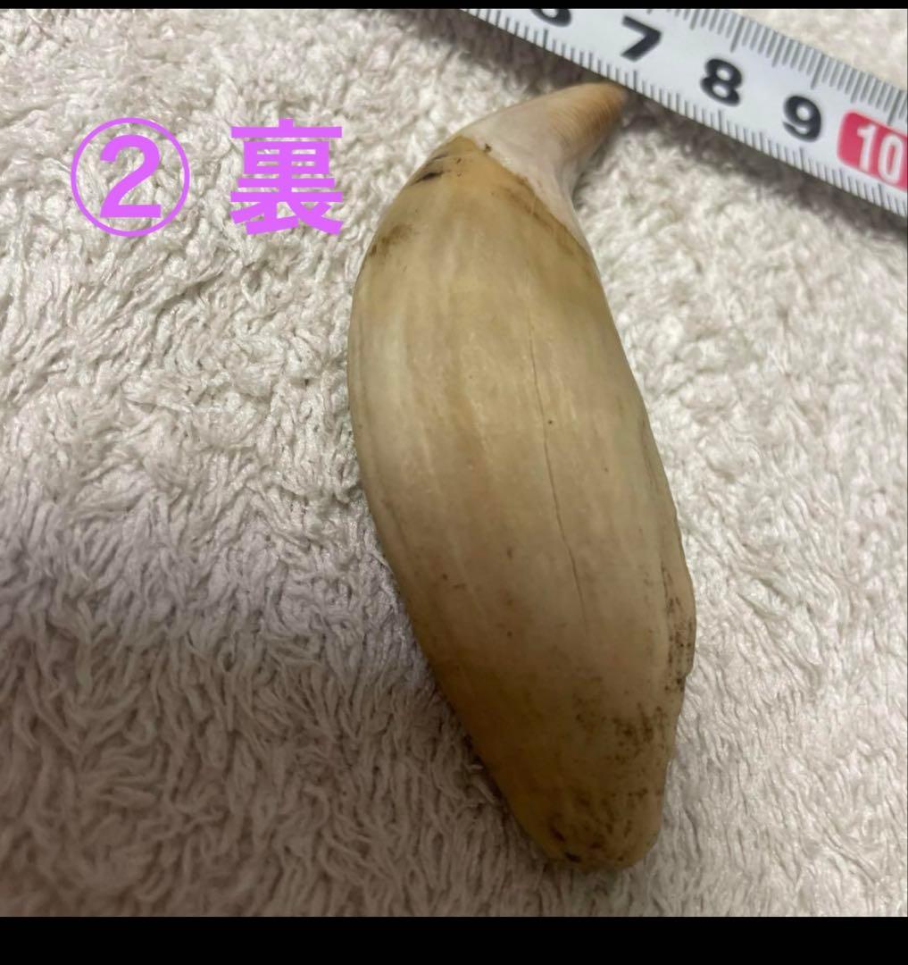 やま男