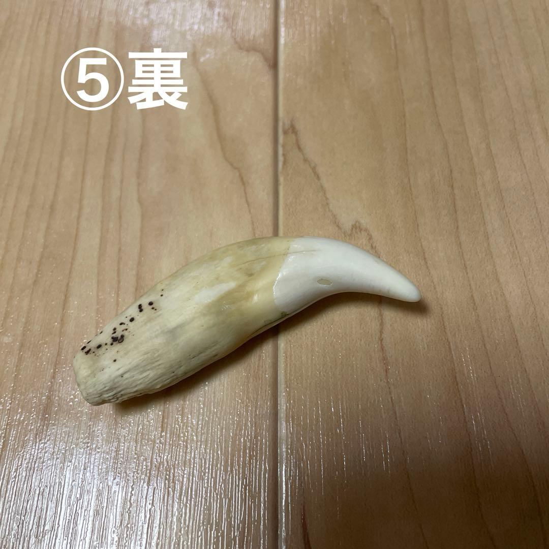 やま男