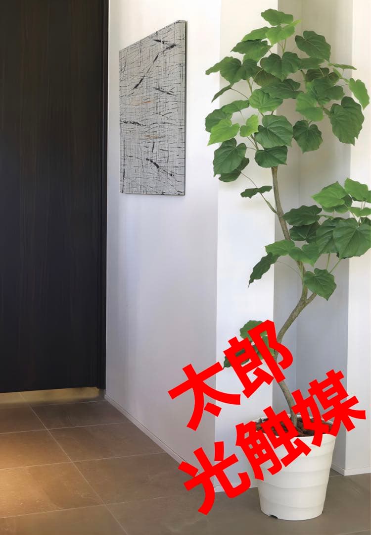 光触媒　人工観葉植物　フェイクグリーン　ツイストウンベラータ1.9（組立式）