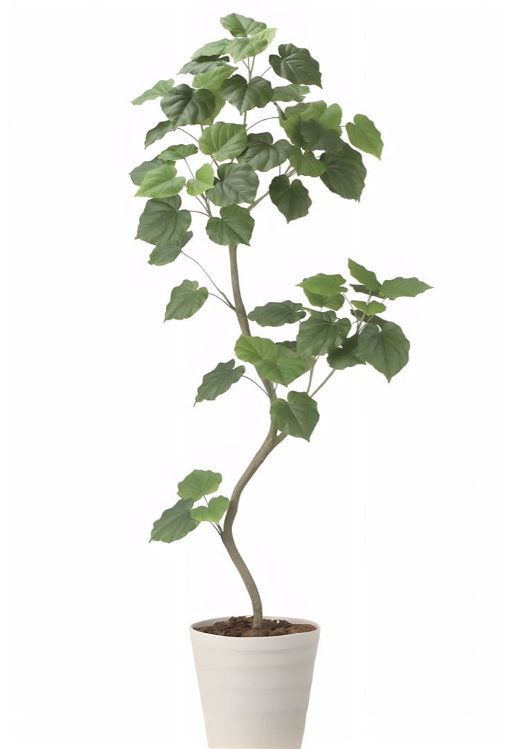 光触媒　人工観葉植物　フェイクグリーン　ツイストウンベラータ1.9（組立式）