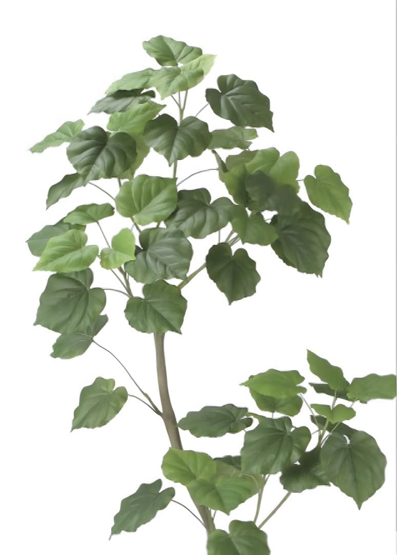 光触媒　人工観葉植物　フェイクグリーン　ツイストウンベラータ1.9（組立式）