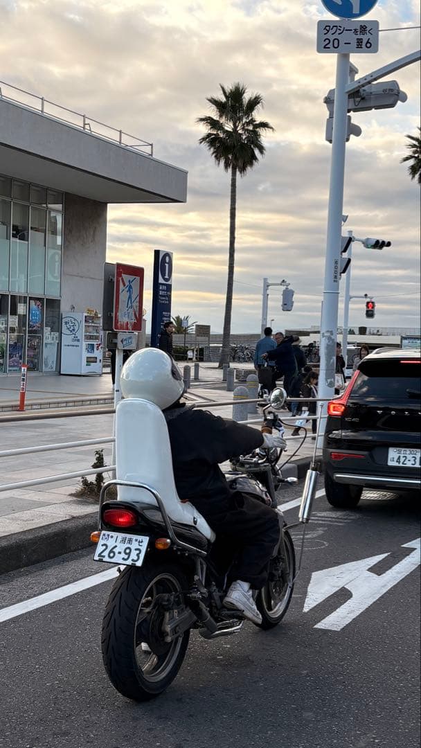 パリオス1 ZR250A KingRoad88 ホワイトシート 45cm