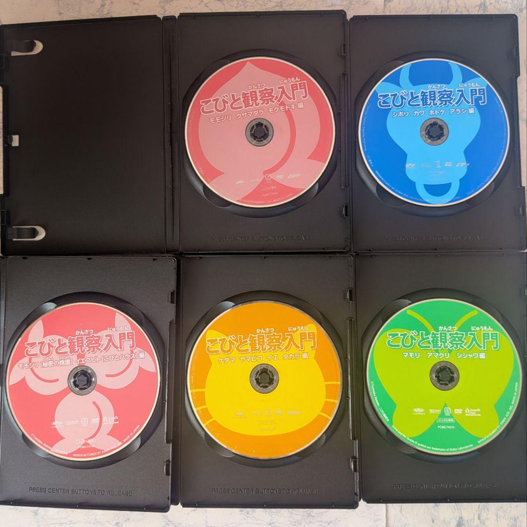 DVD　こびと観察入門 モモジリ クサマダラ モクモドキ編 他、大研究　全10巻