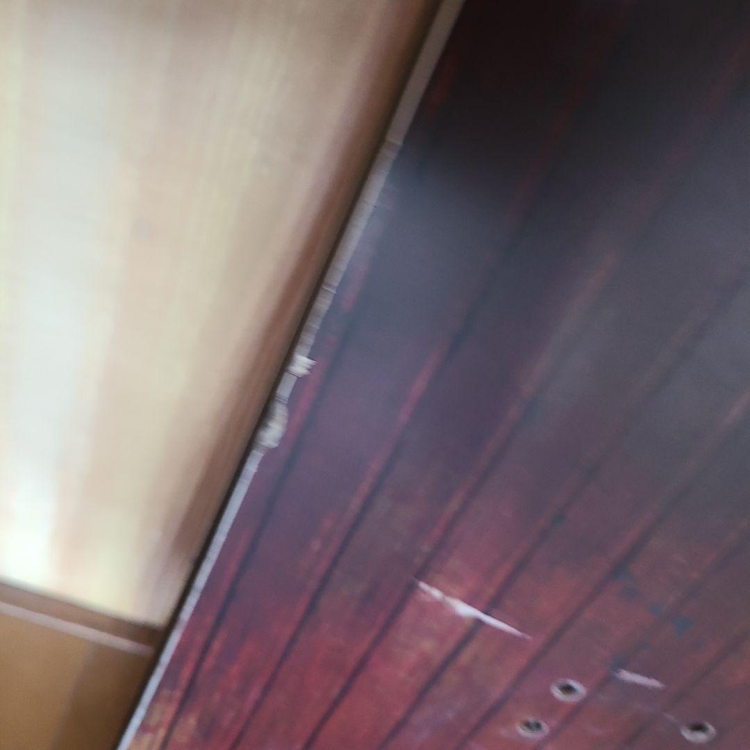 ノベンバーカイラとスクーターSCT