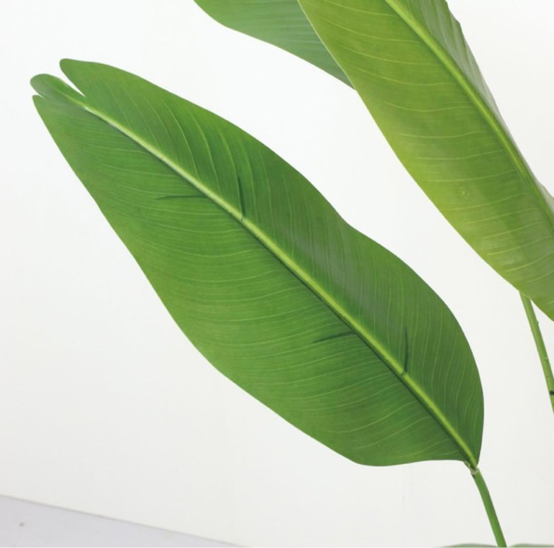 光触媒　人工観葉植物　ウォールグリーン　フェイクグリーン　トラベラーズパーム14