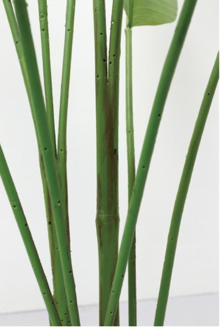 光触媒　人工観葉植物　ウォールグリーン　フェイクグリーン　トラベラーズパーム14