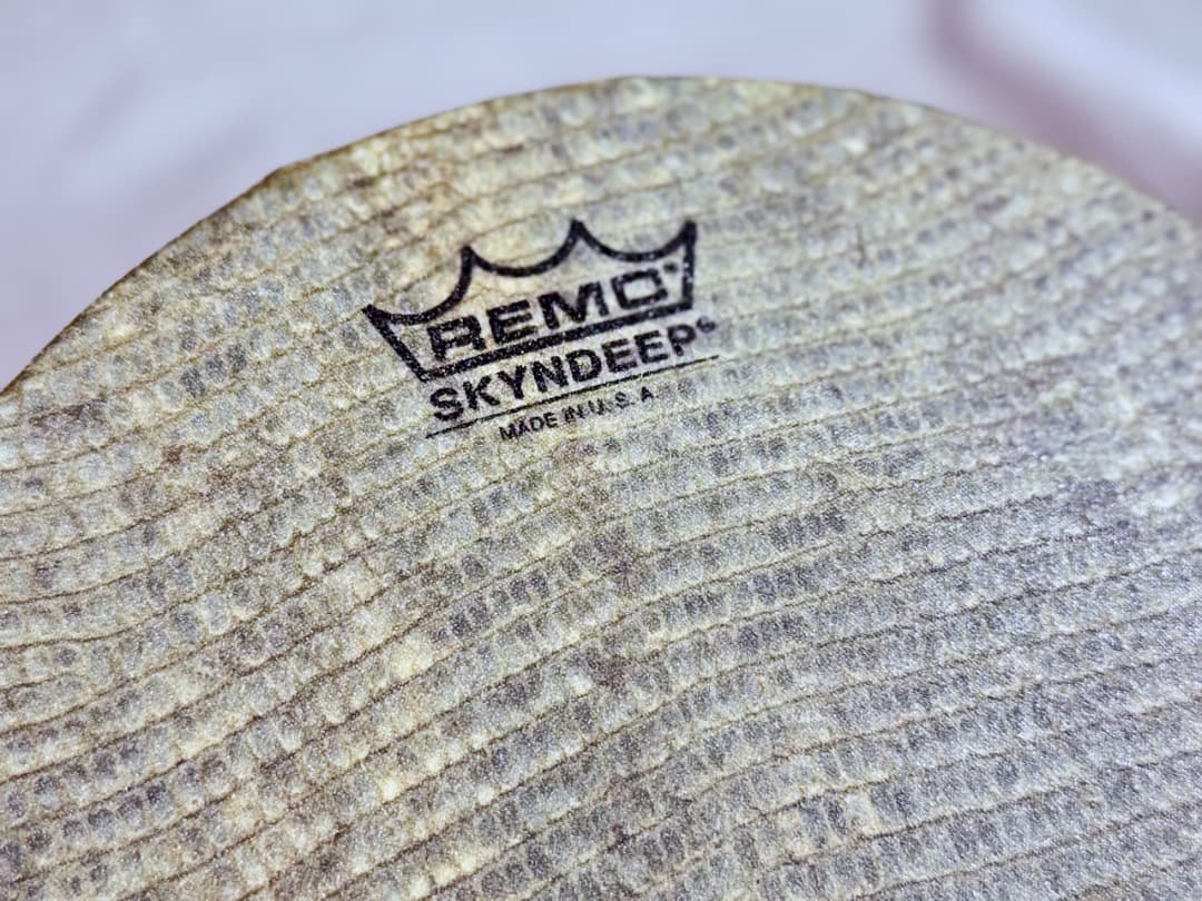 REMO カンジーラ Kanjira インド音楽 フレームドラム