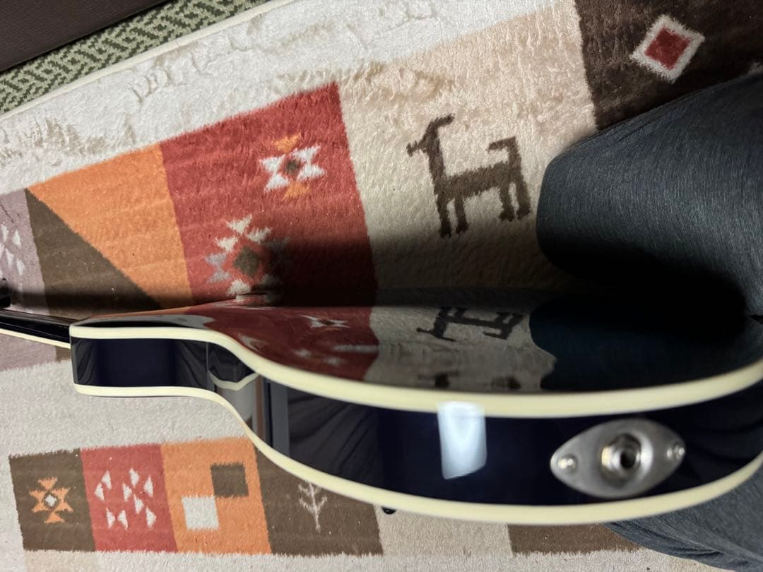 PRS se ホローボディー