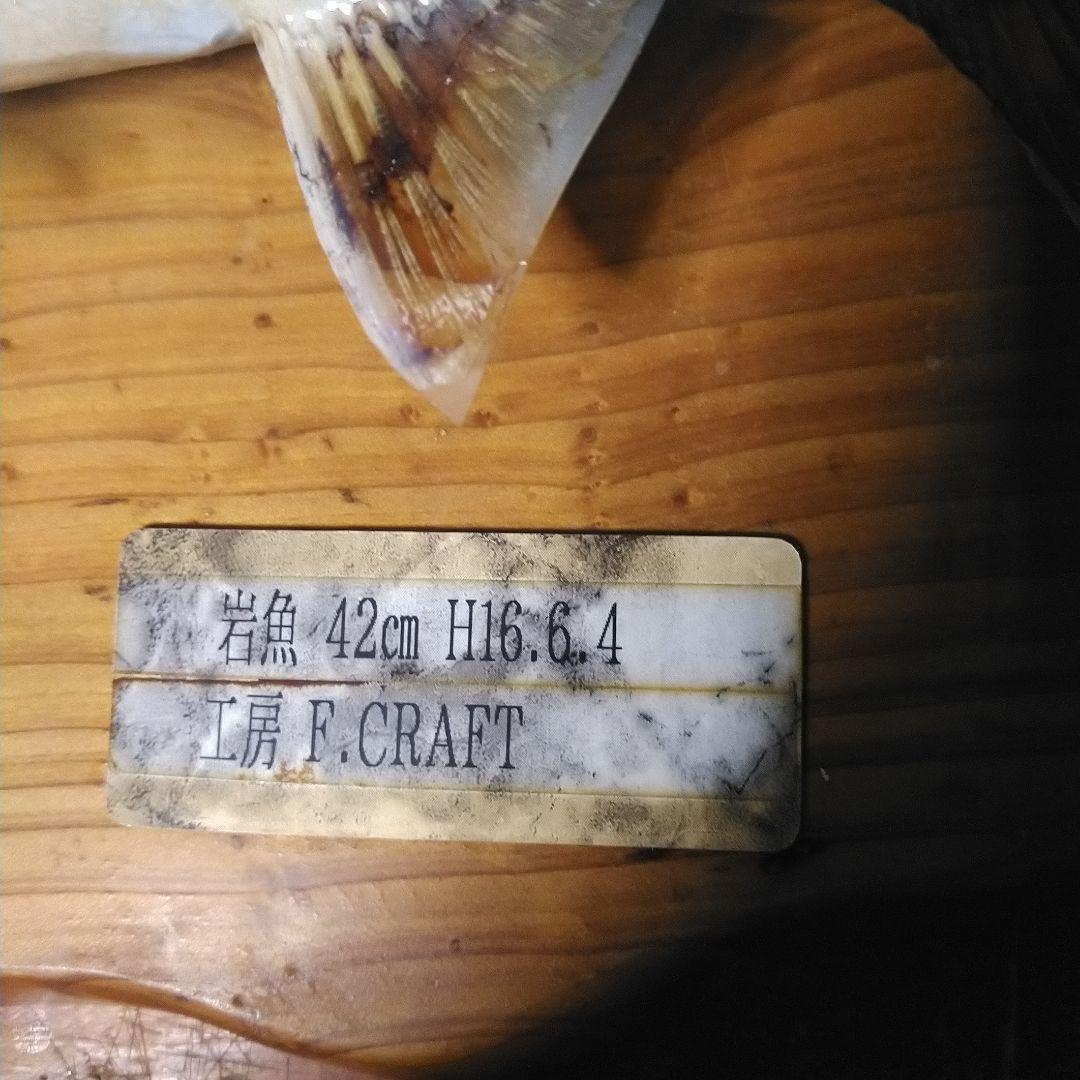 イワナの魚の剥製（木製台座き）