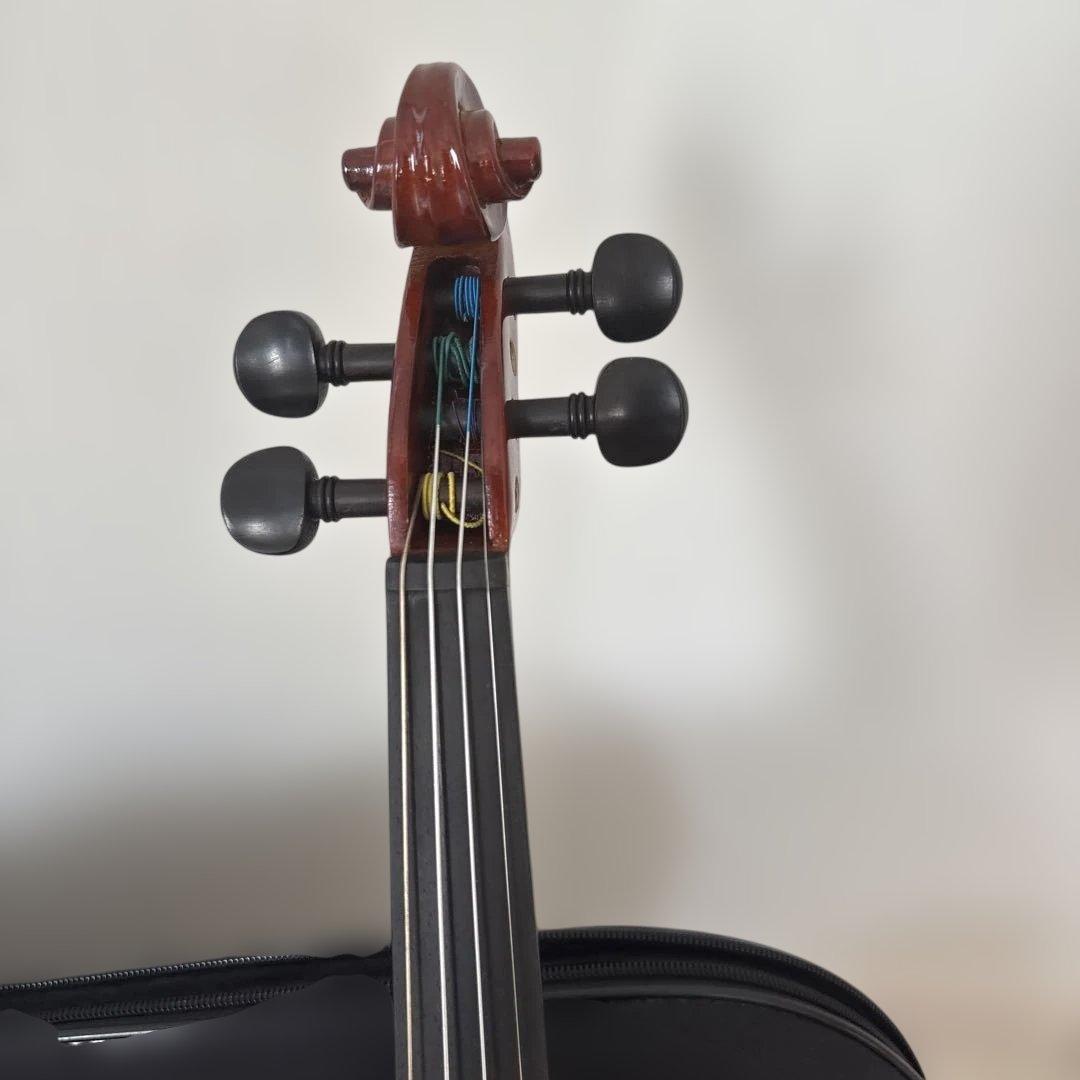 【美品・2017年製】Carlo giordano VS-1 3/4 バイオリン