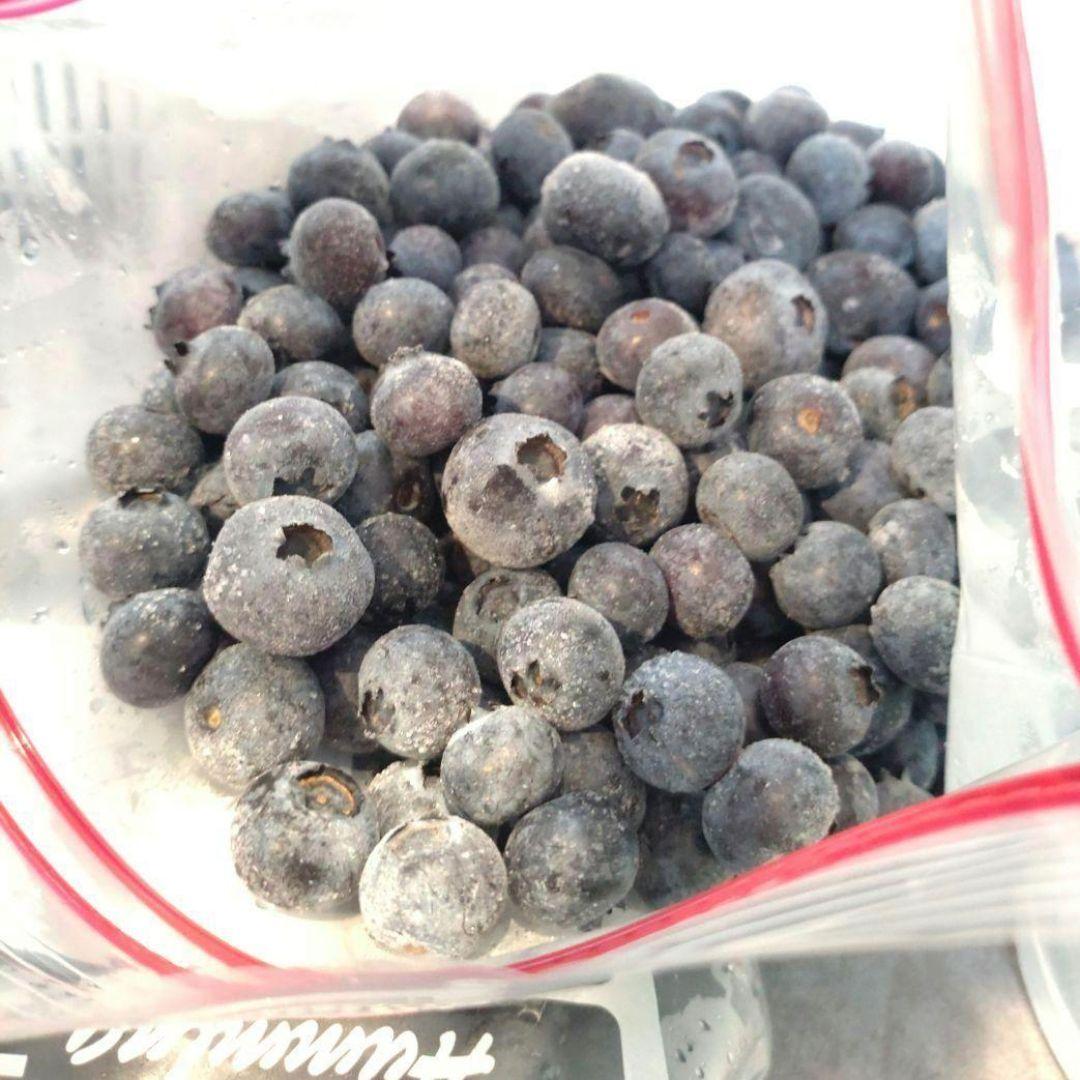 冷凍ブルーベリー 4kg 群馬県産
