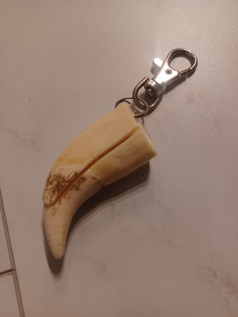 本物天然ヒグマの牙キーホルダー 約6cm