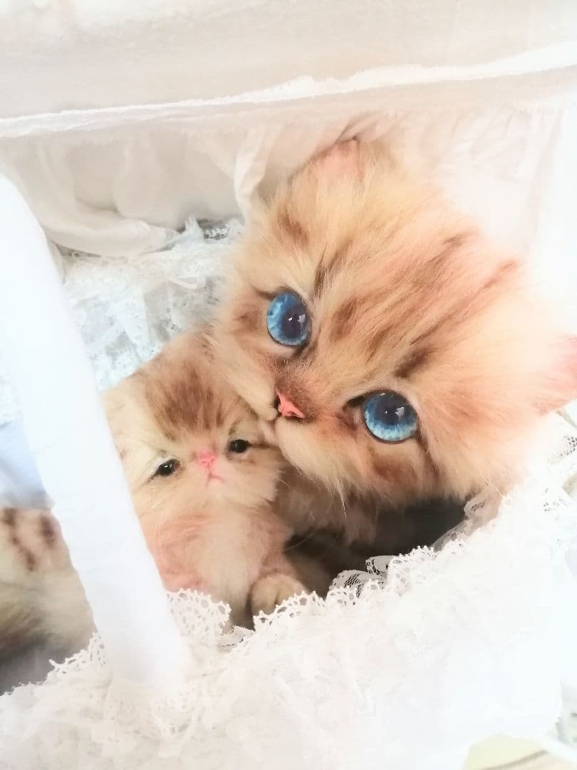 猫ちゃん♡親子♡ママとベビー♡虎柄♡アートドール♡ぬいぐるみ♡かご♡