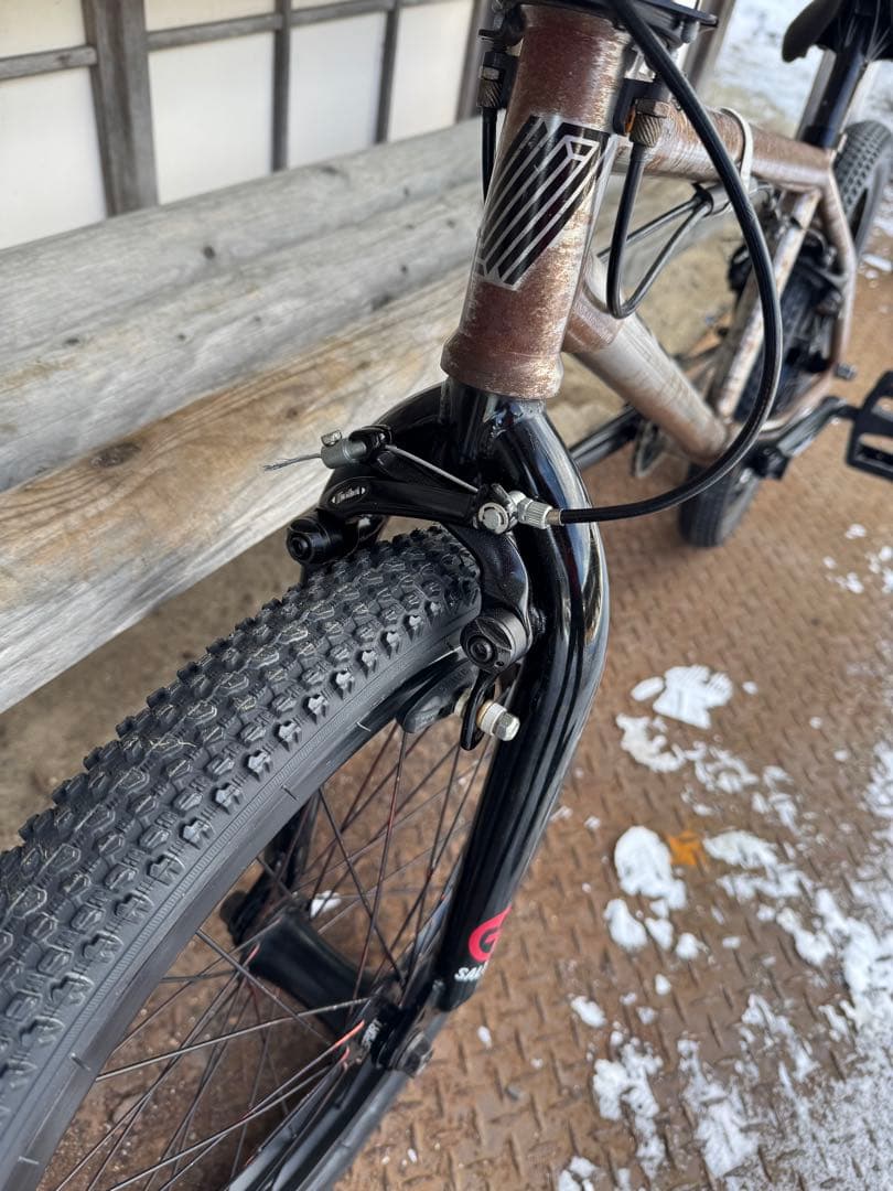 BMX UNITED 20.5”