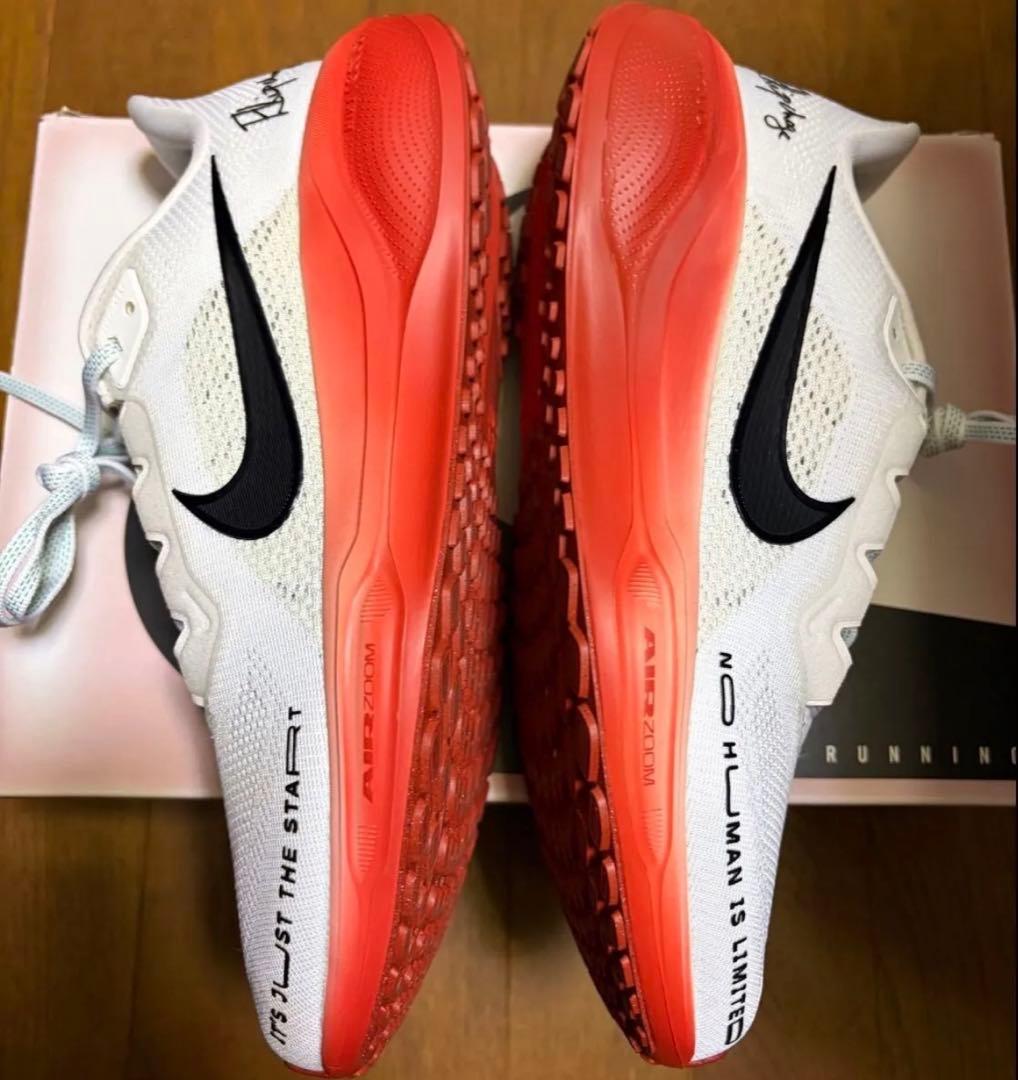 ナイキ ペガサス41 キプチョゲ NIKE Pegasus41 ek 27cm