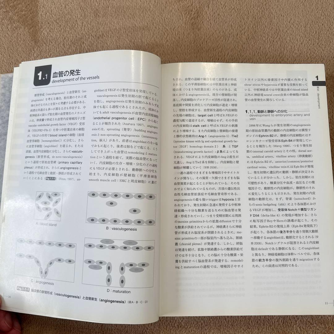 医学書　脳脊髄血管の機能解剖 増補版