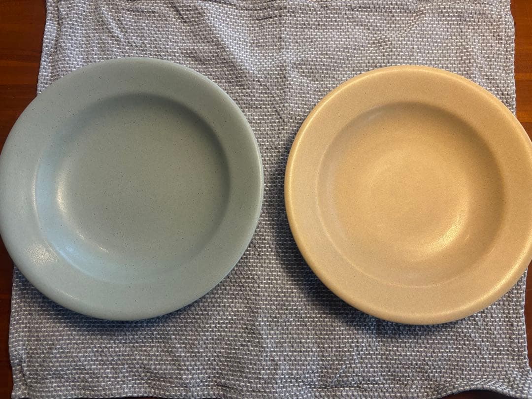 あわびウェアパスタ皿　２枚セット