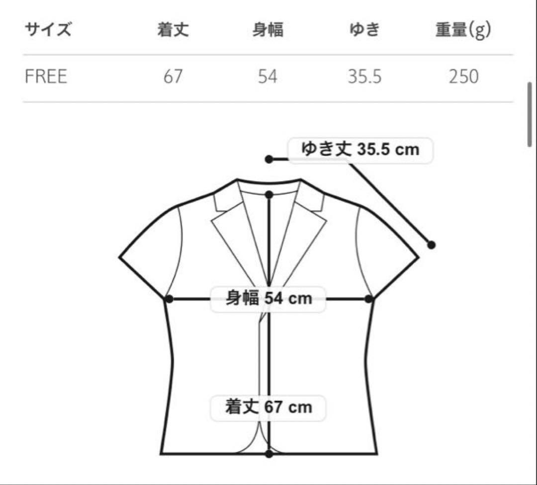 グリーンレーベル　レディース　トップス　フレンチスリーブ シャツ ジャケット