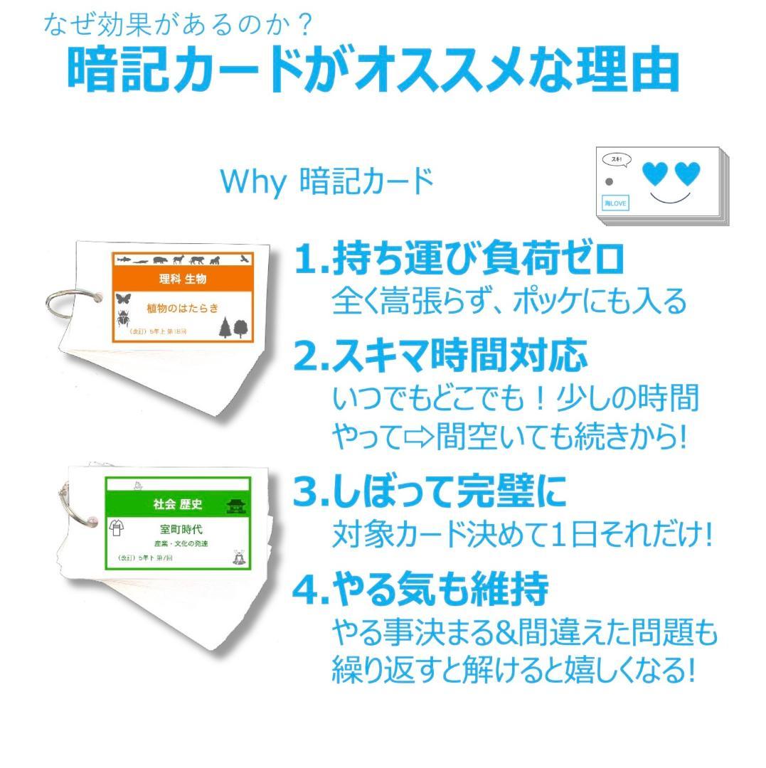 ＼＼2026福袋／／ 中学受験 暗記カード【5年生フルセット 現時点 社理国】