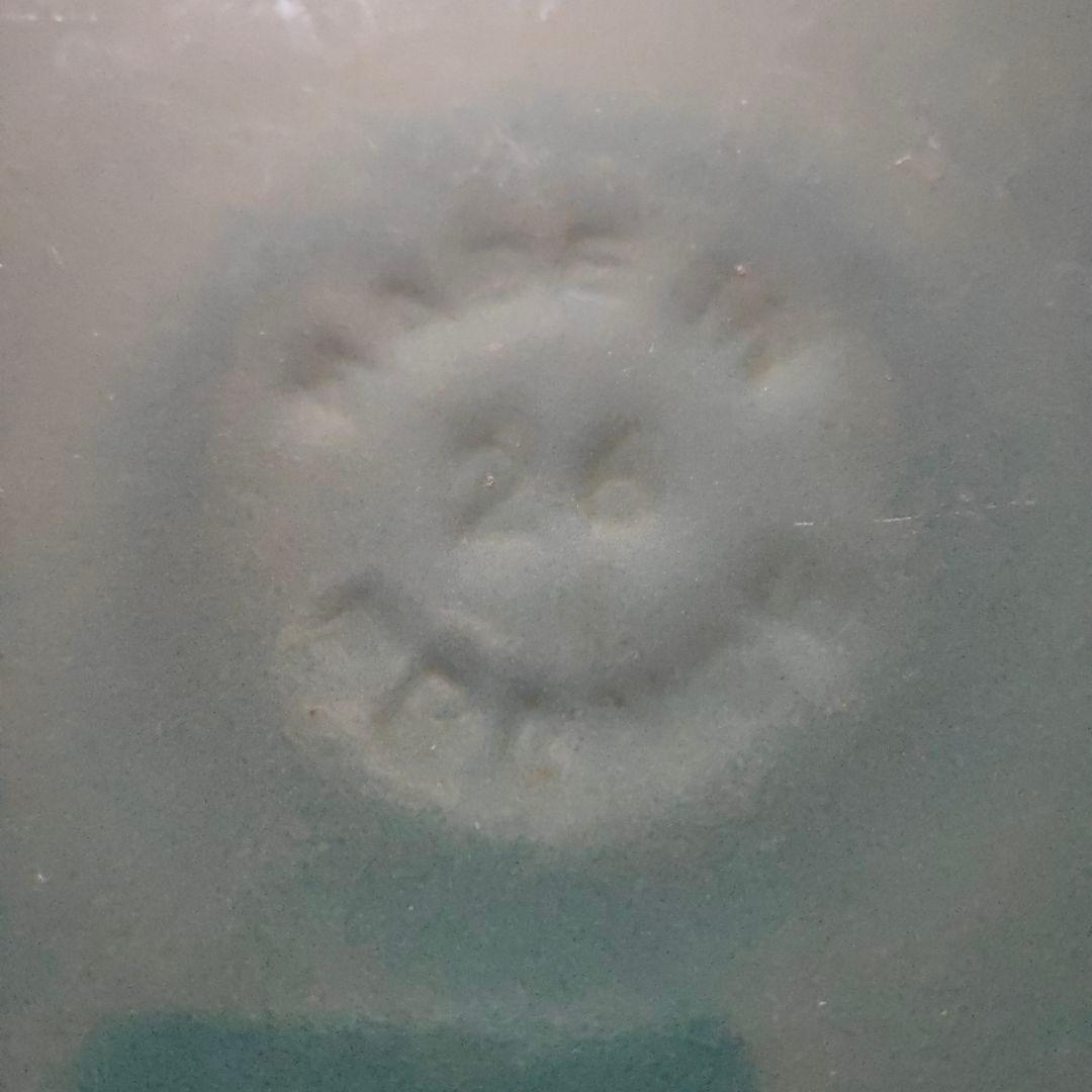 STAUB 鋳鉄製 両手鍋26cm ブラック la cocotte 　シャロー